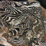 Stromatolity